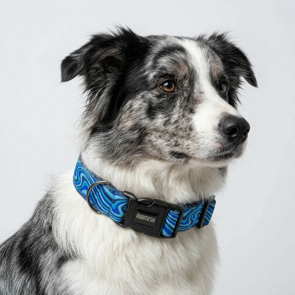 Wave Chaser Dog Collar