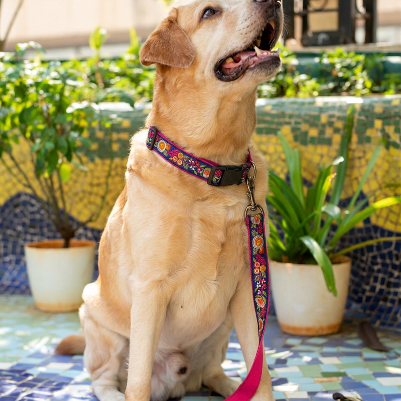Moonlit Bouquet Dog Leash