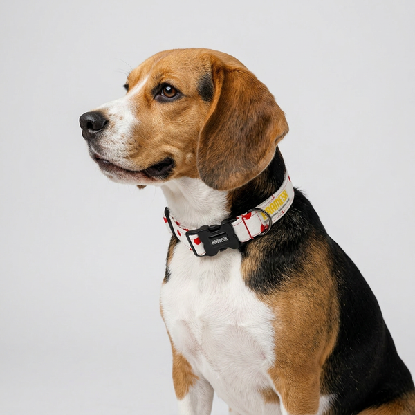 XO Dog Collar