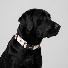 XO Dog Collar