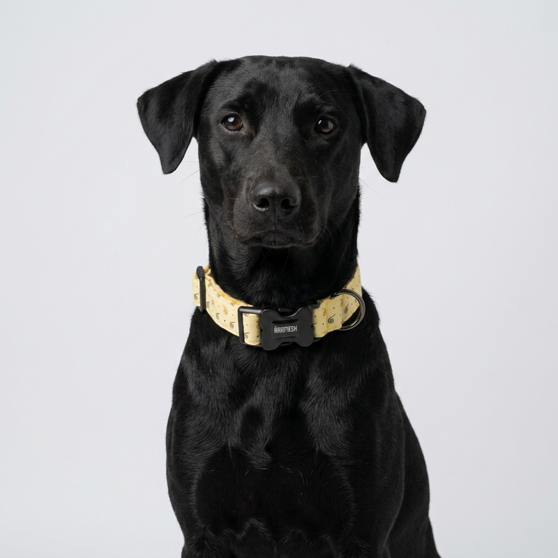 Honey Swirl Cotton Dog Collar