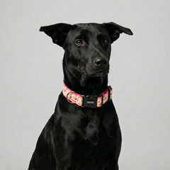 Pink Bloom Dog Collar