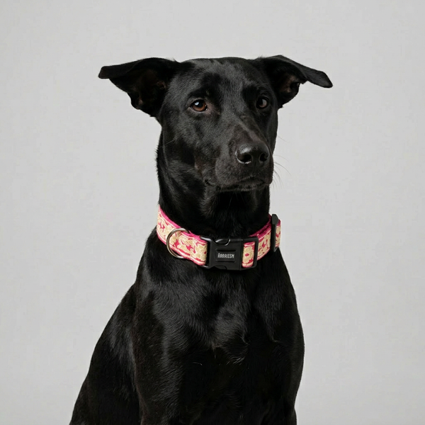 Pink Bloom Dog Collar