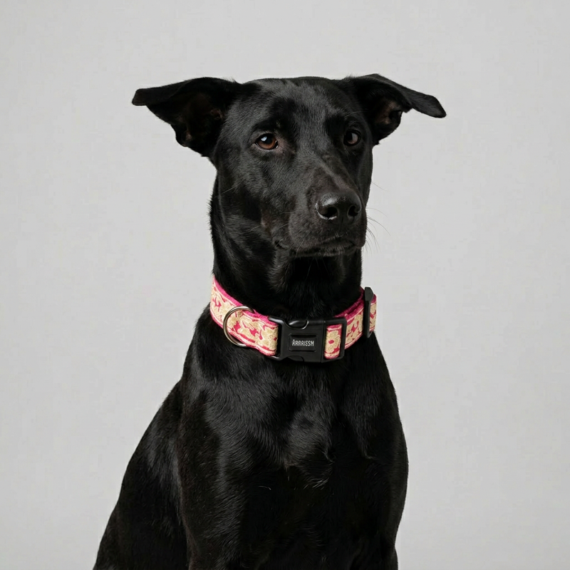 Pink Bloom Dog Collar