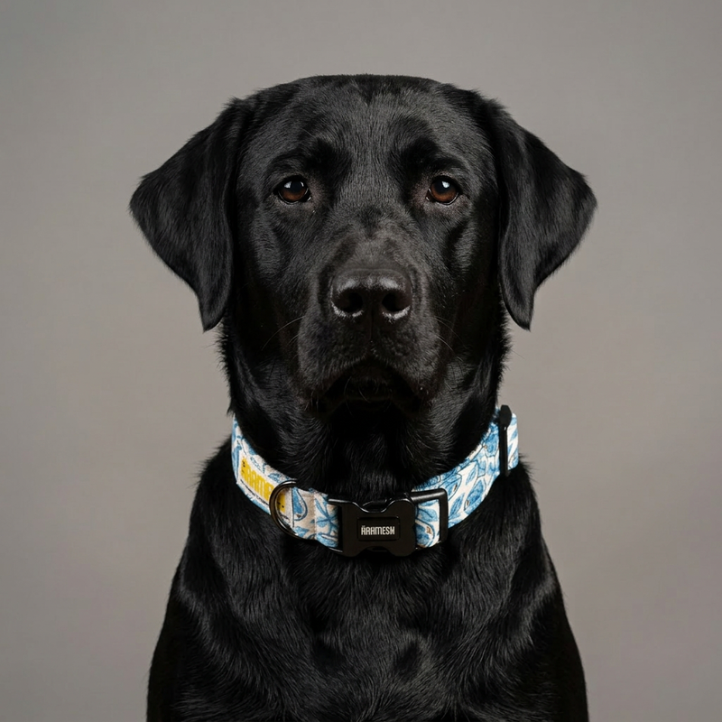 Santorini Cotton Dog Collar