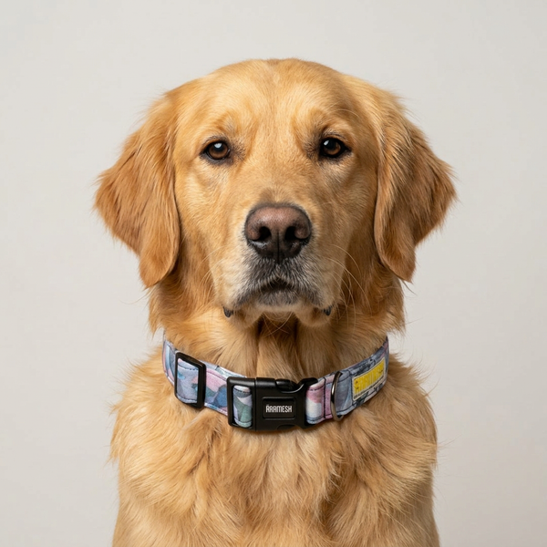 Pastel Tide Dog Collar
