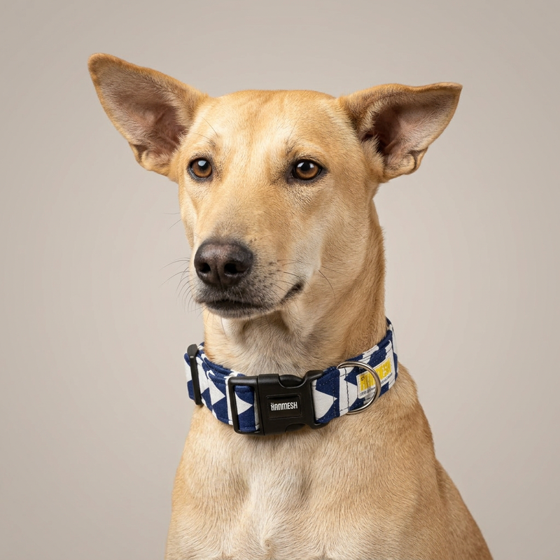 Ocean Edge Dog Collar