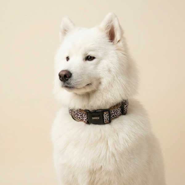 The Chase Dog Collar