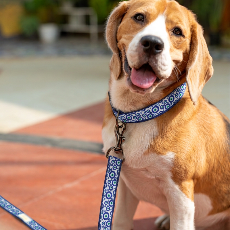 Nazar Charm Dog Leash