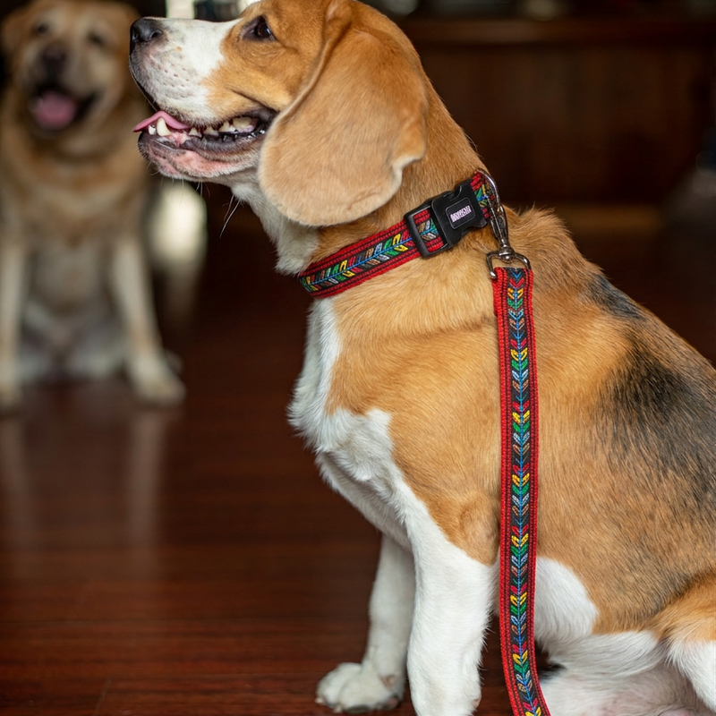 Jungle Jam Dog Leash