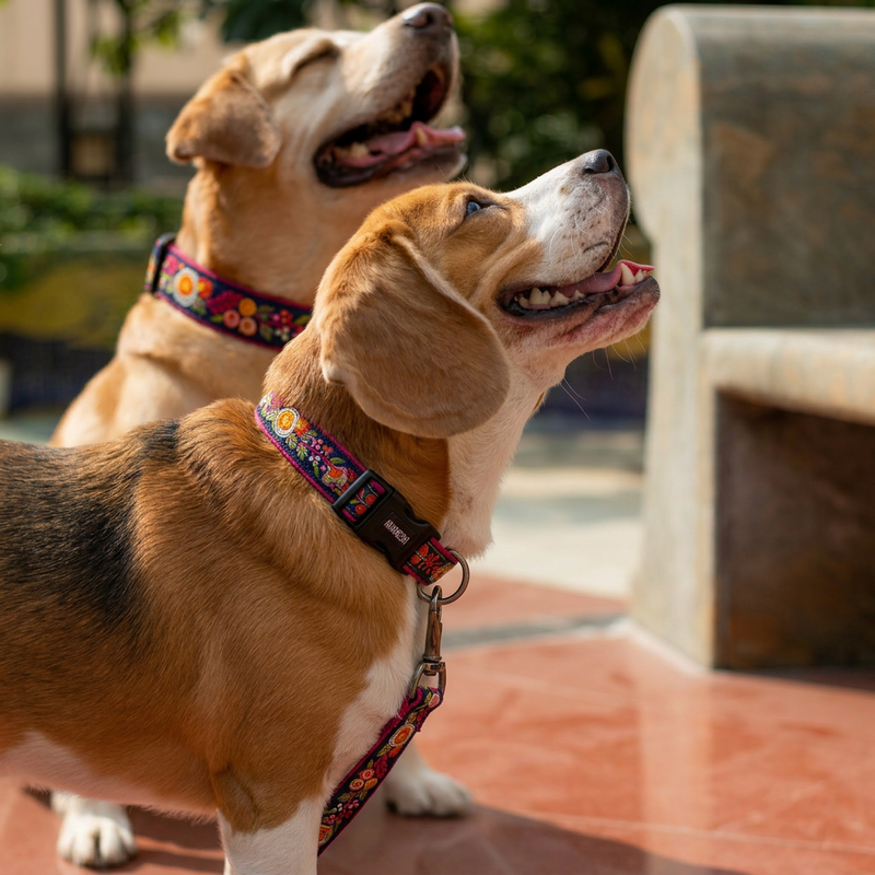 Moonlit Bouquet Dog Collar
