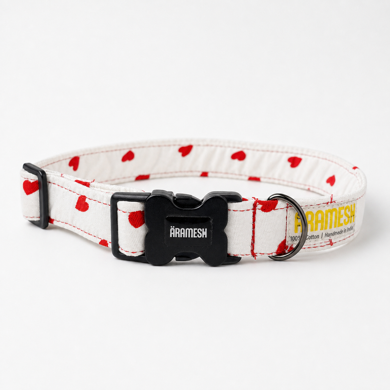 XO Dog Collar & Leash