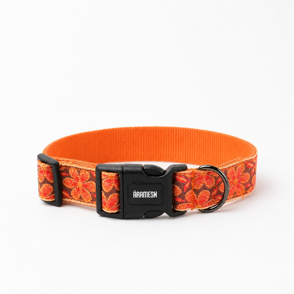 Mehfil Festive Dog Collar