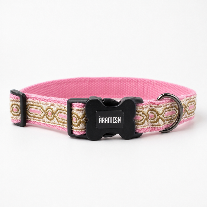 Meet Cute Dog Collar