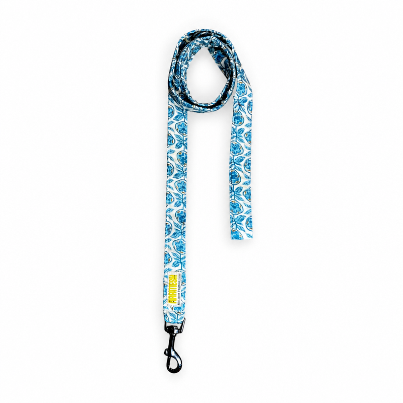 Santorini Cotton Dog Collar & Leash