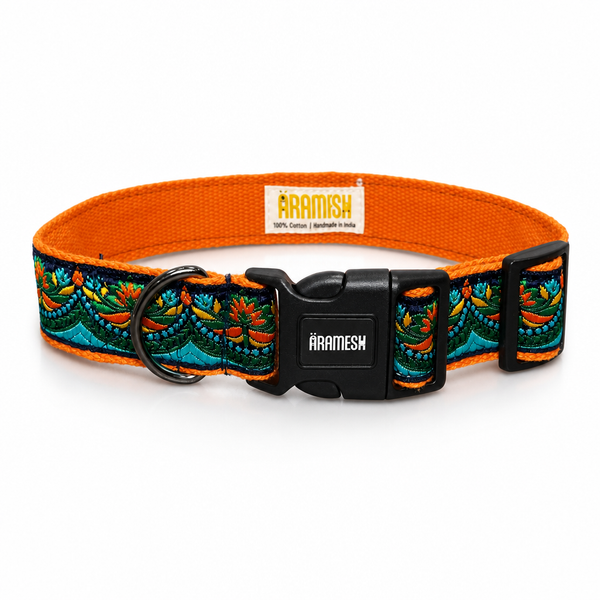 Fire & Ice Dog Collar & Leash
