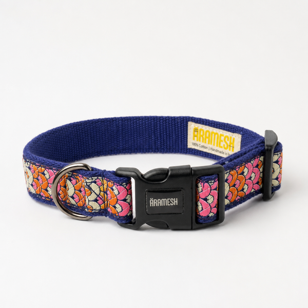 Sunset Glow Dog Collar