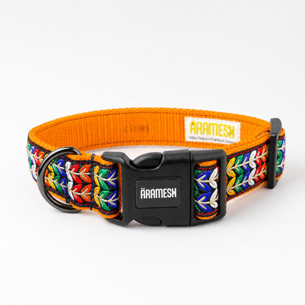 Colourful Trails Dog Collar & Leash