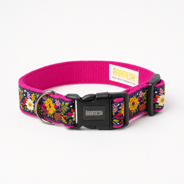 Coastal Bloom Dog Collar & Leash