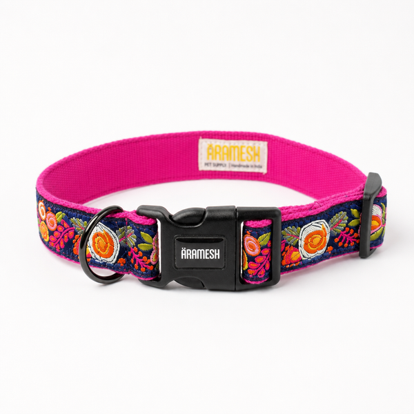 Gulzaar Dog Collar