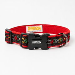 Bold Barker Dog Collar