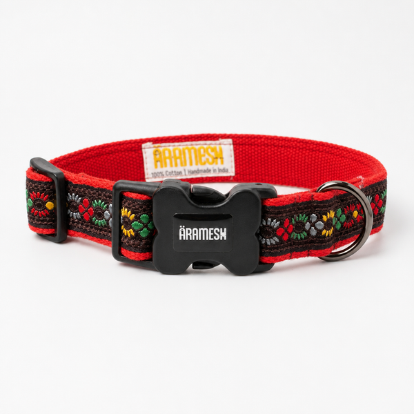 Bold Barker Dog Collar