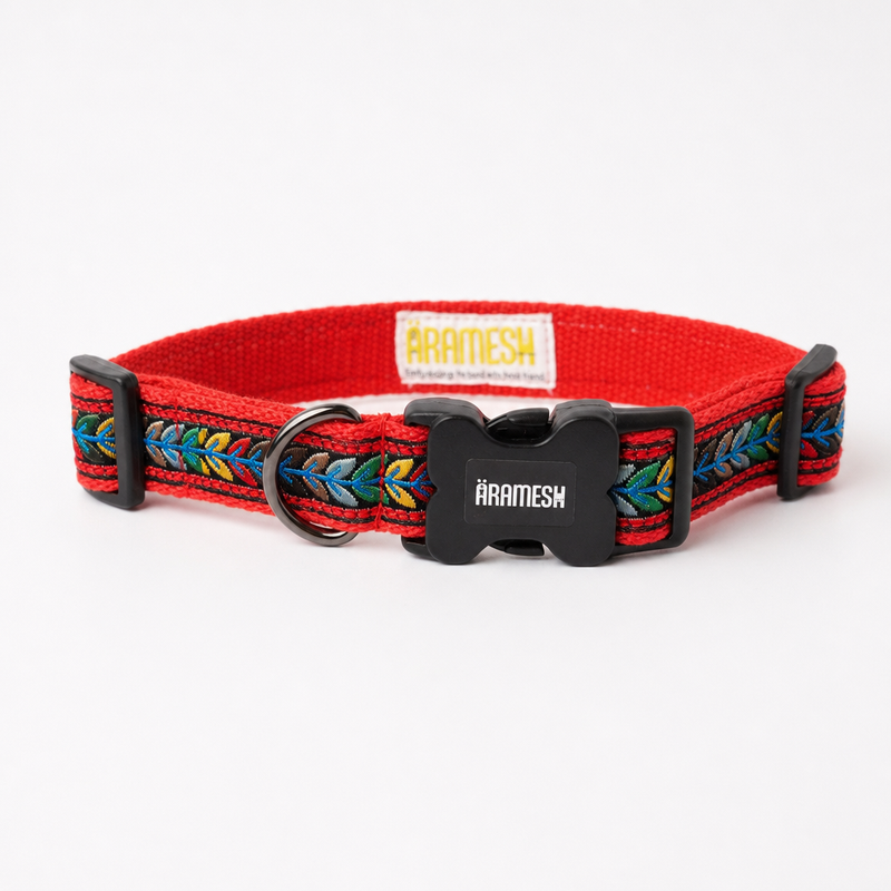 Jungle Jam Dog Collar