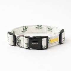 Hempy Hues Dog Collar
