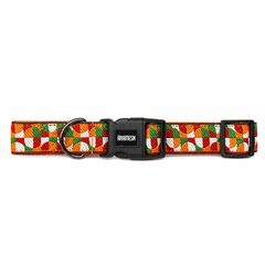 Azaadi Dog Collar & Leash