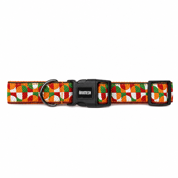 Azaadi Dog Collar