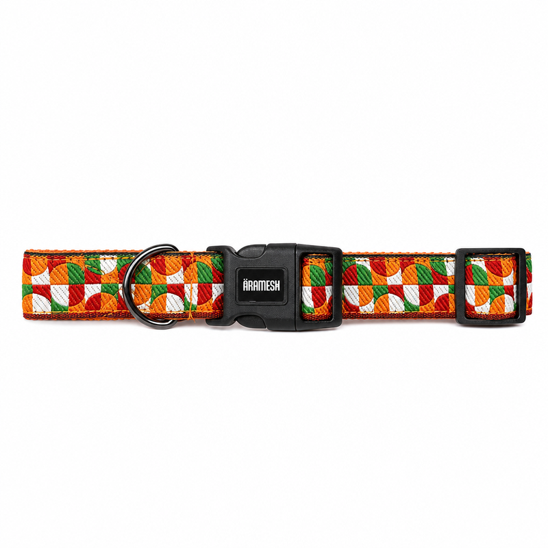Azaadi Dog Collar & Leash