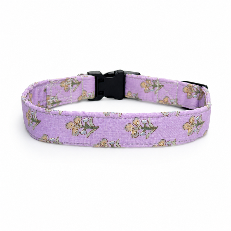 Sweet Pea Cotton Dog Collar & Leash