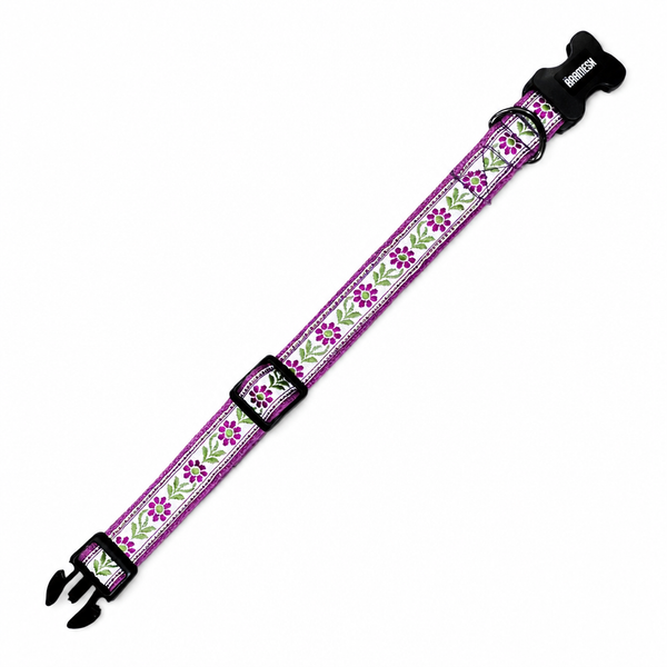 Lavender Sunshine Dog Collar & Leash