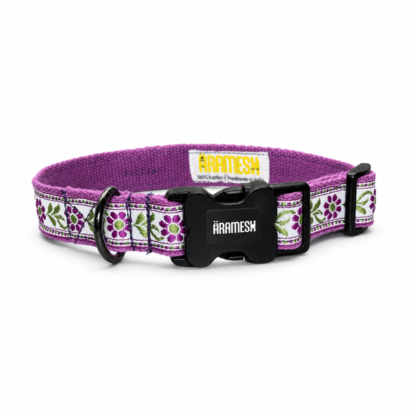 Lavender Sunshine Dog Collar & Leash