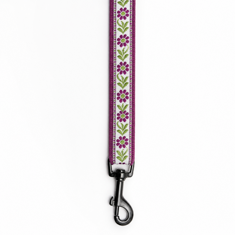Lavender Sunshine Dog Leash