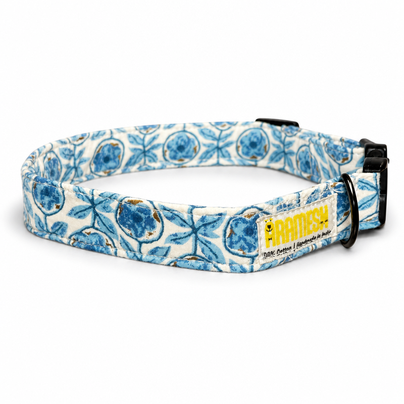 Santorini Cotton Dog Collar & Leash