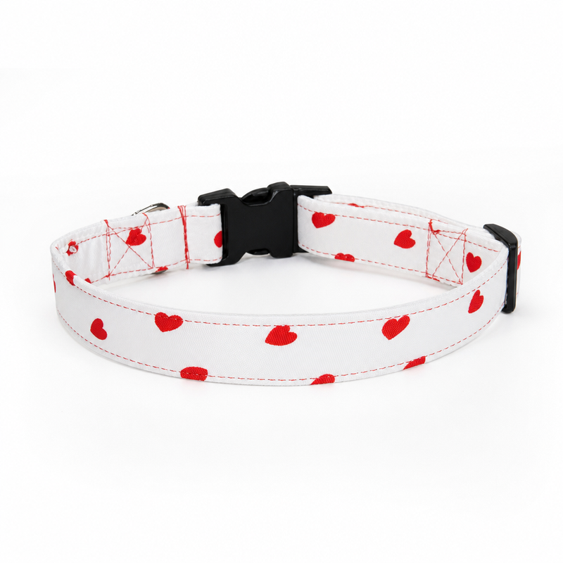 XO Dog Collar & Leash