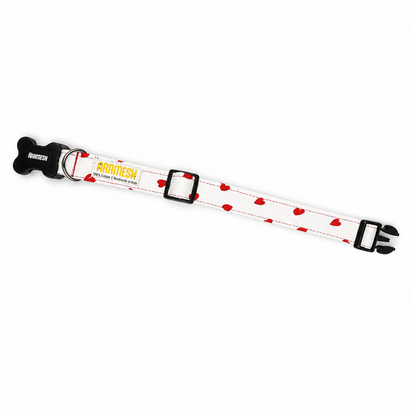 XO Dog Collar & Leash