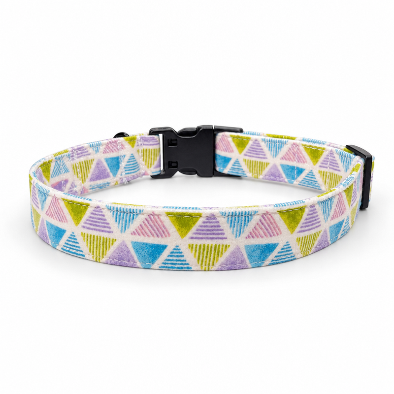 Play Date Dog Collar & Leash