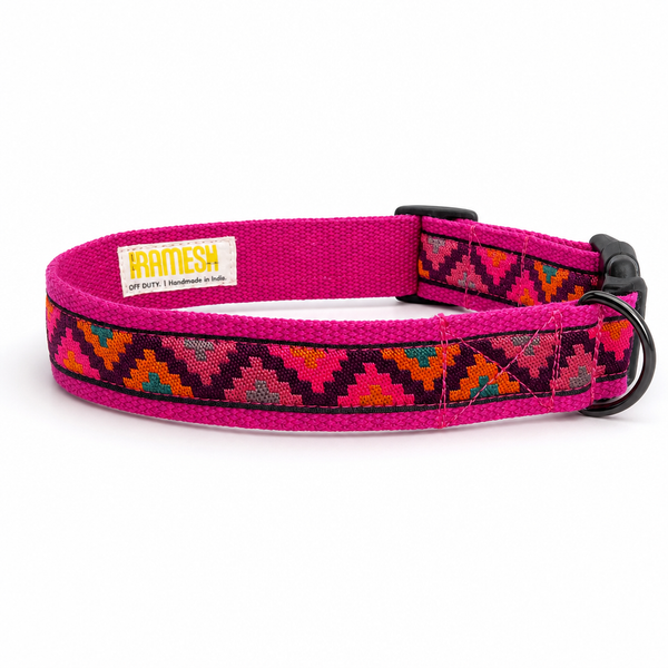 Gulaal Dog Collar