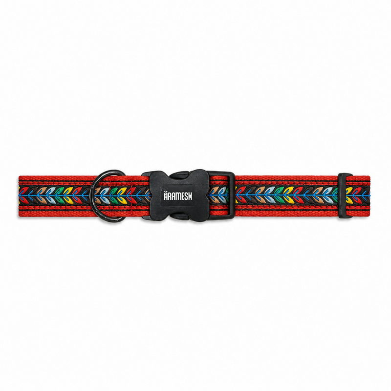 Jungle Jam Dog Collar