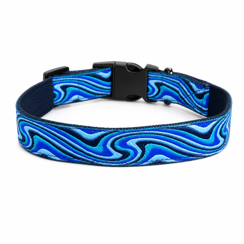 Wave Chaser Dog Collar & Leash