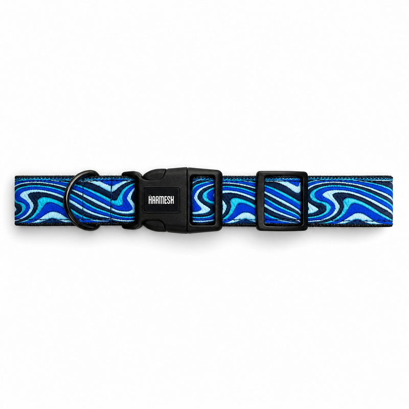 Wave Chaser Dog Collar & Leash