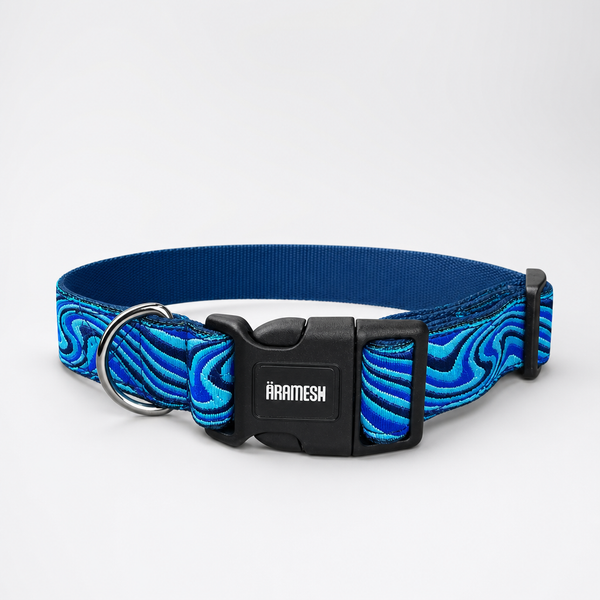 Wave Chaser Dog Collar & Leash