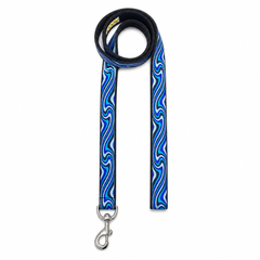 Wave Chaser Dog Collar & Leash