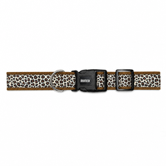 The Chase Dog Collar & Leash