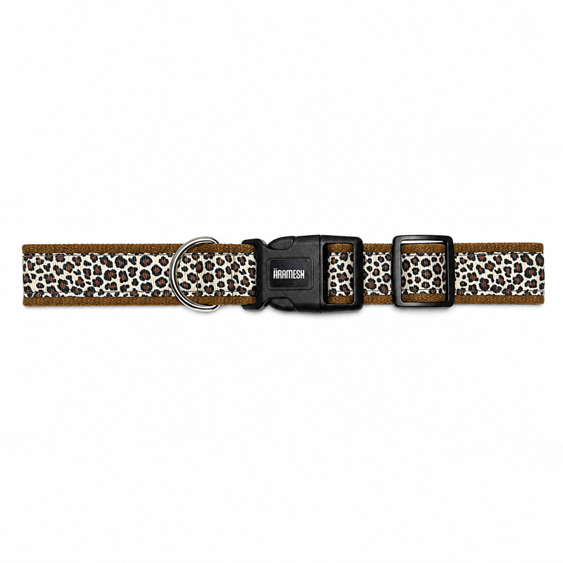 The Chase Dog Collar & Leash