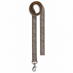 The Chase Dog Collar & Leash