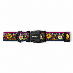 Floral patterned dog collar with a black buckle 