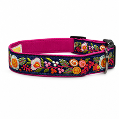 Gulzaar Dog Collar